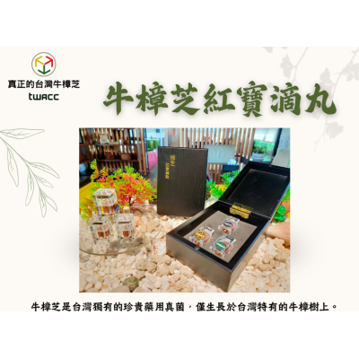 台灣牛樟芝TWAC
