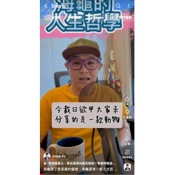 烏龜除了是長壽的象徵,海龜更有一套人生哲學 烏龜除了是長壽的象徵,海龜更有一套人生哲學